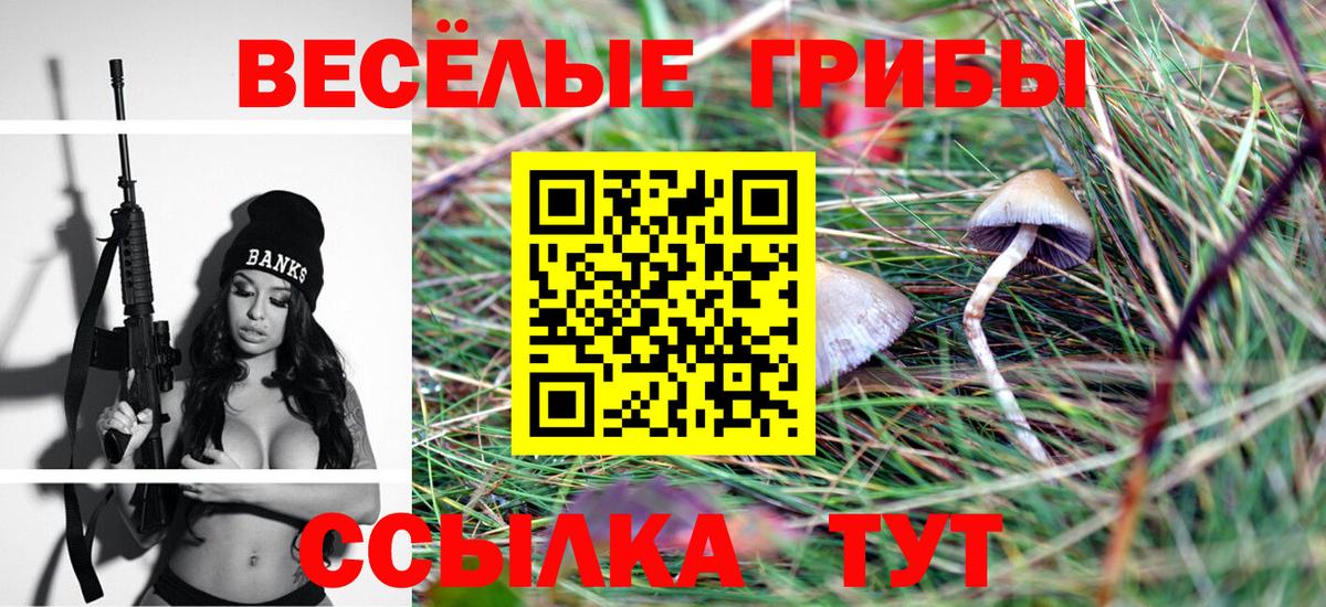 Псилоцибиновые грибы Psilocybe Ставрополь
