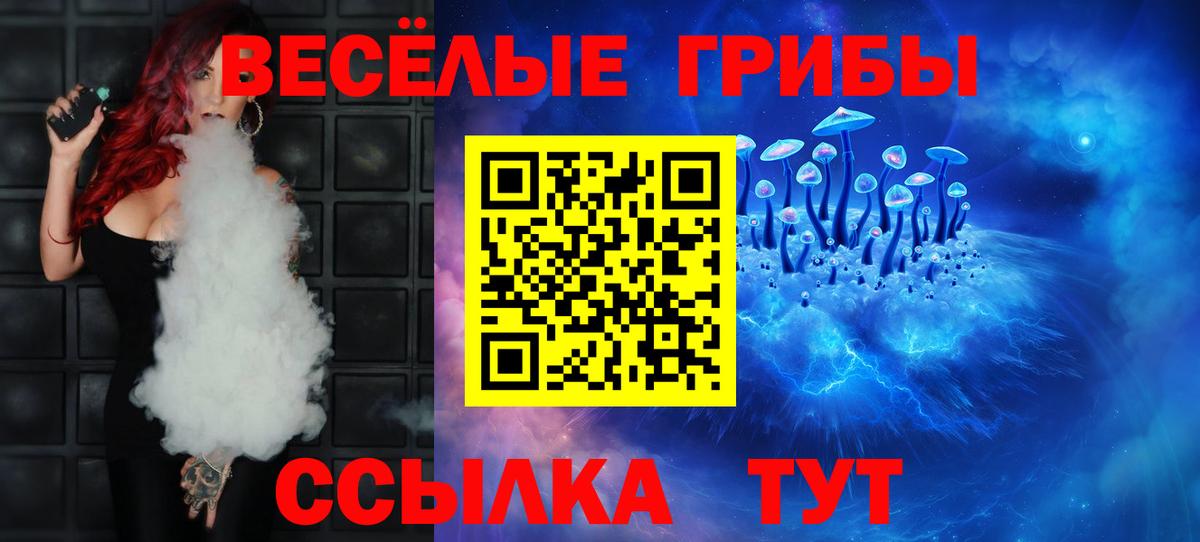 Ставрополь  Псилоцибиновые грибы мицелий  Вход с VPN 
