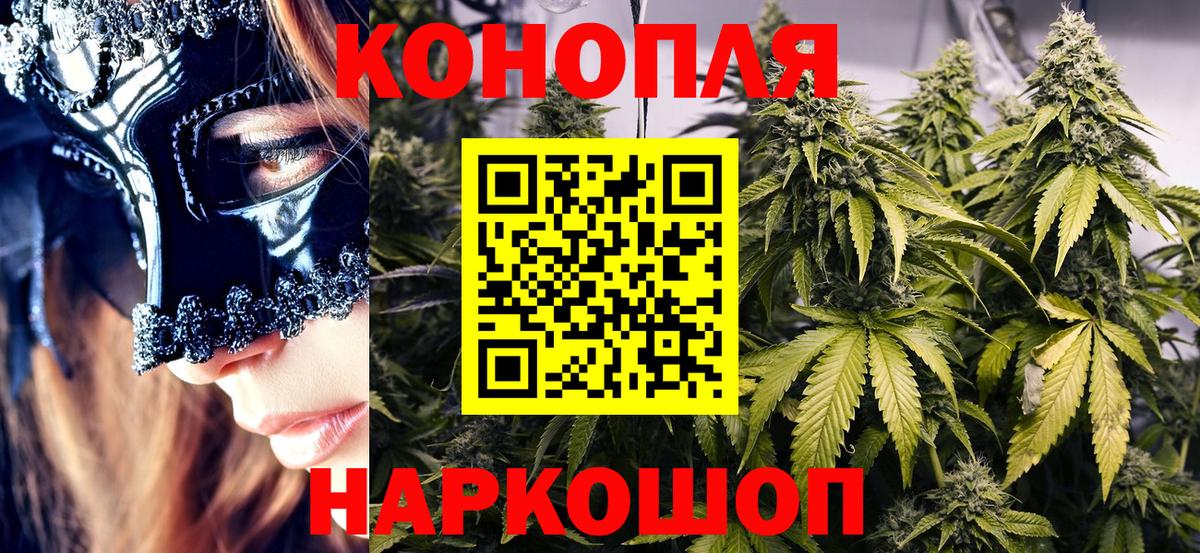 Каннабис гибрид Ставрополь